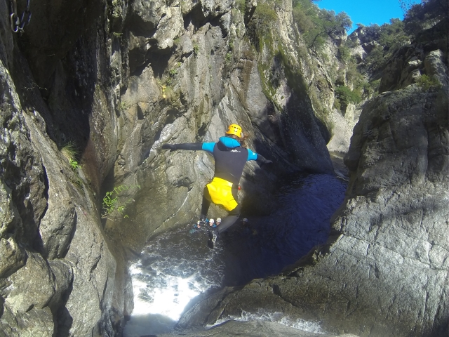  Jumping and evasion 
