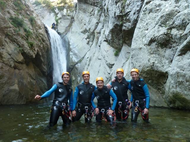  Sociability in water 