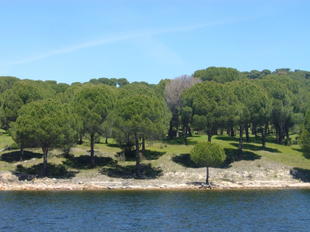 Embalse de San Juan