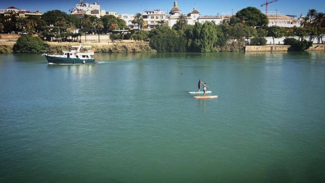  Paddle surf along the river 