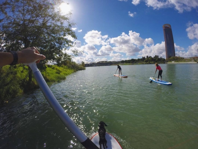  Practice paddle surf