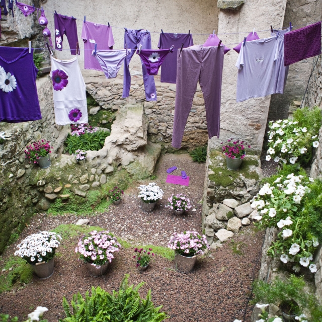  Scopri i cortili dei giardini 
