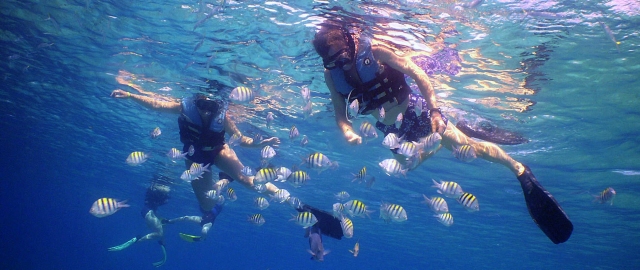 Diving in Alicante 