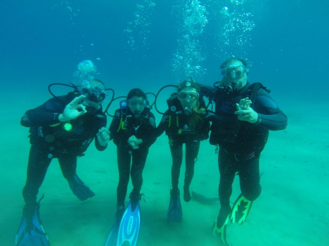  Dive with friends 