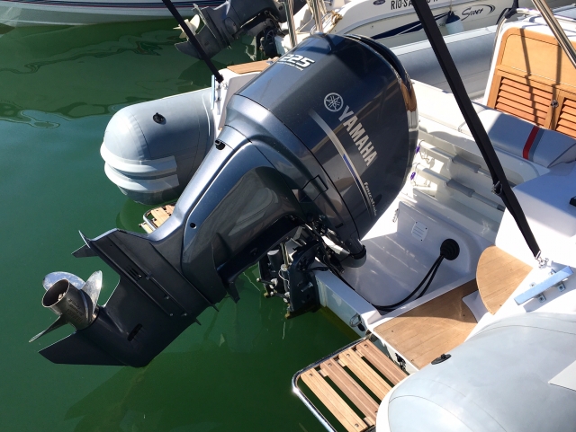  225 PS Motor