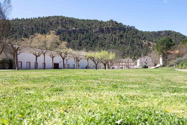  Amplas áreas verdes para brincar 