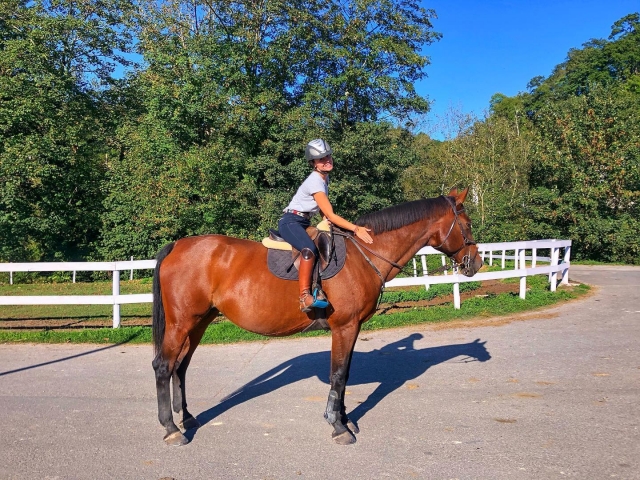 Cabalga en Arriondas a lomos de un caballo