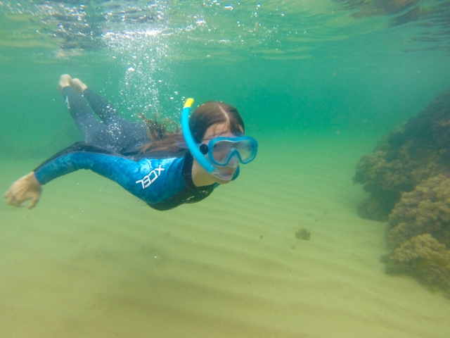 snorkeling 