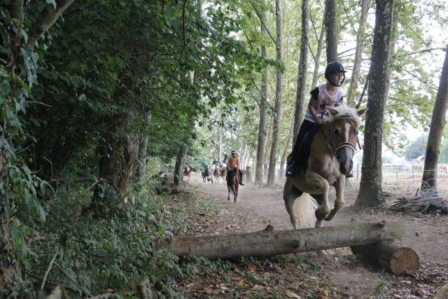  Reiten lernen 