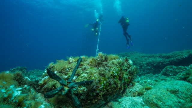 Unter Wasser auf Mallorca 