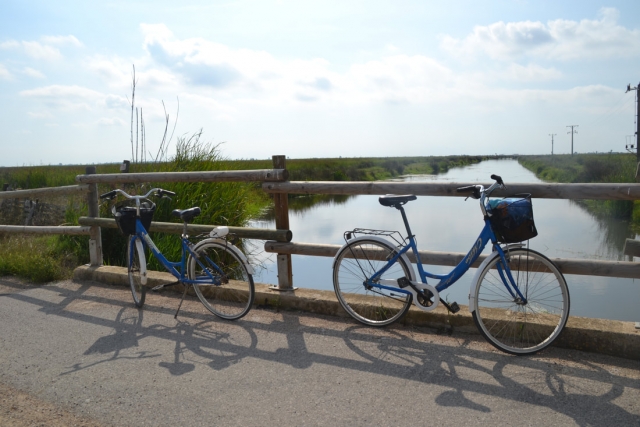 Bike route along the Ebro 