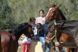 Campamento hípico medio día 1 semana en Mallorca