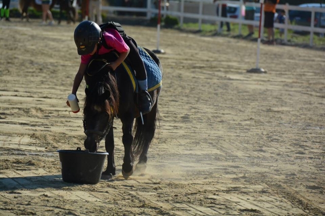 Cuida de los ponis