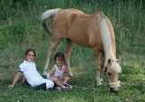 Equestrian camp Mallorca full day 1 week