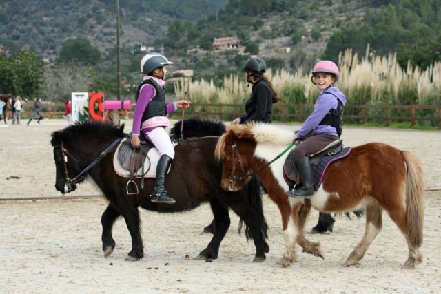 Aprende a montar en poni