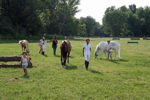 Clases de equitación al aire libre