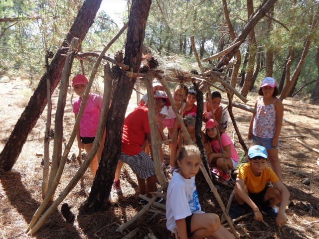  Construire un abri dans l'arbre 