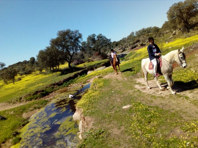 Excursion a caballo 
