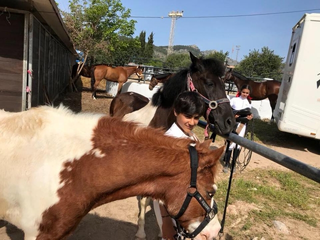  Preparing the horses 