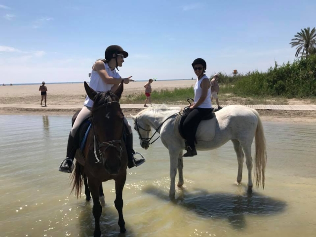  马在水中 