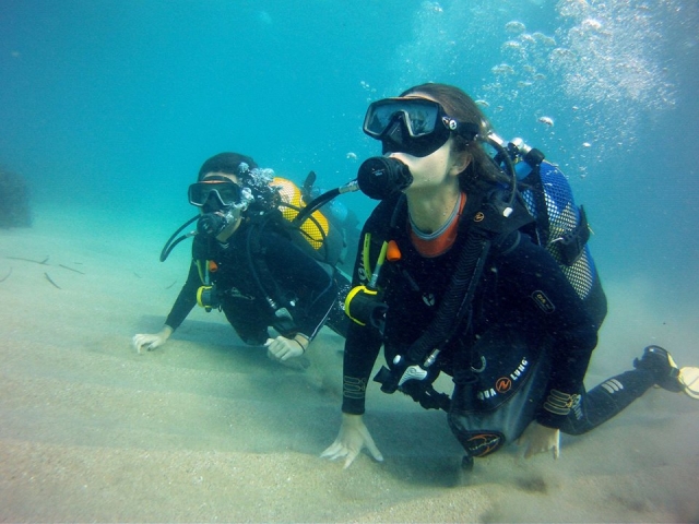  Divers on the coast 