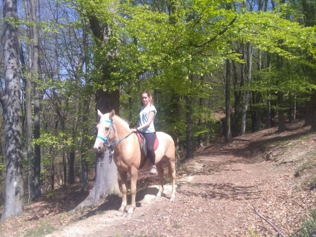 Amazona a caballo en el sendero