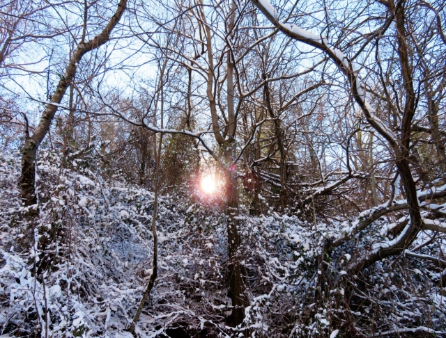  小径上的第一场雪