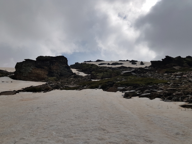Manto de nieve
