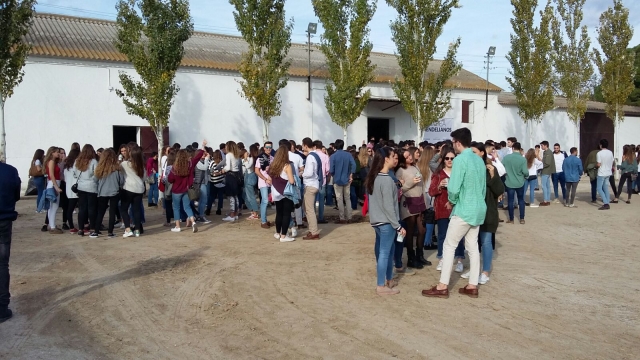 chicos en la barra