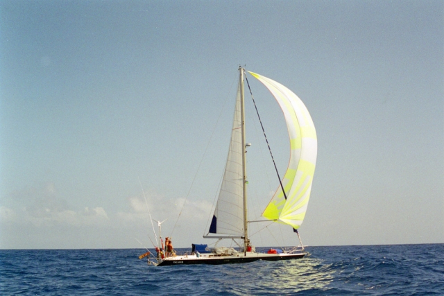 Pacanic III
