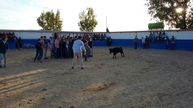  place et vache 