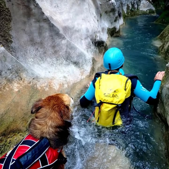  Canyoning con il tuo animale domestico 