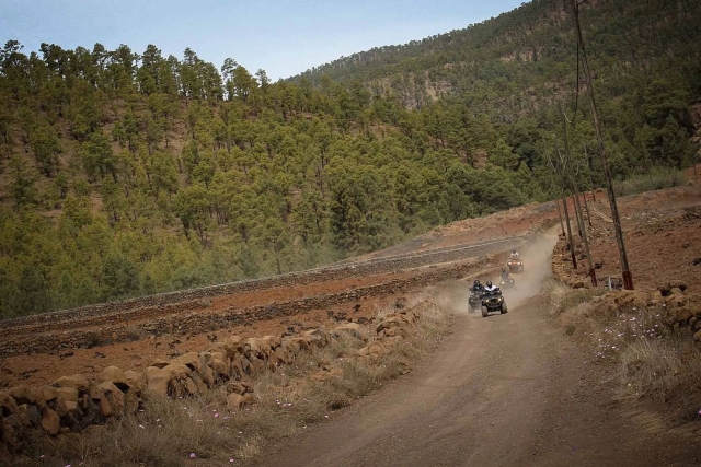 Visitando la parte forestal de Tenerife en un quad
