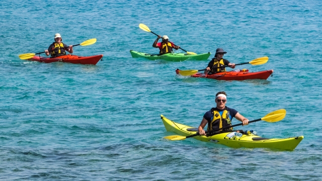 Group paddling a canoe 