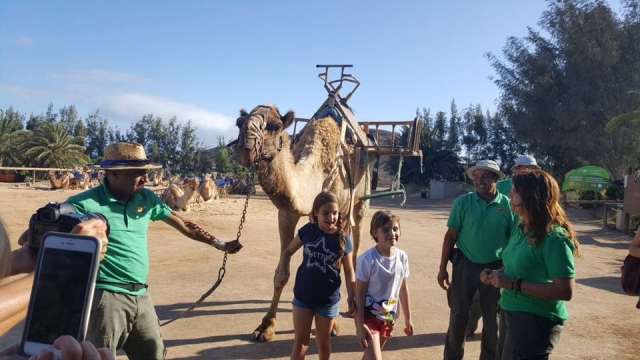 paseo de camellos