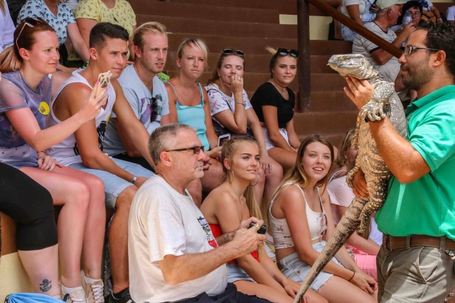  reptile exhibition 