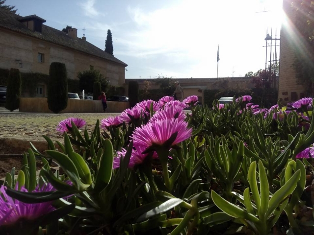 jardins de Tolède 