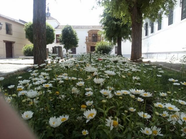  visiter les jardins de Tolède