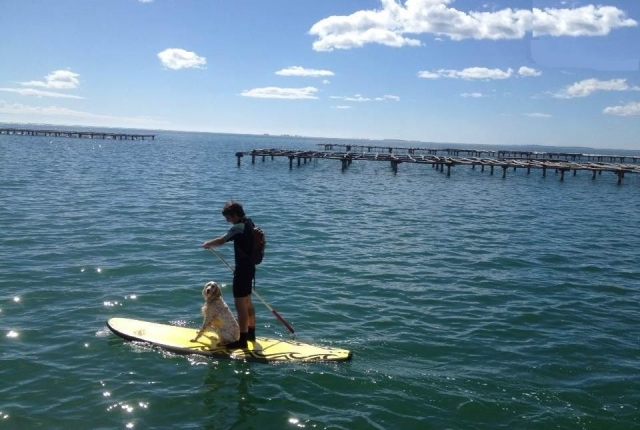  SUP tour through San Carlos de la Rápita 