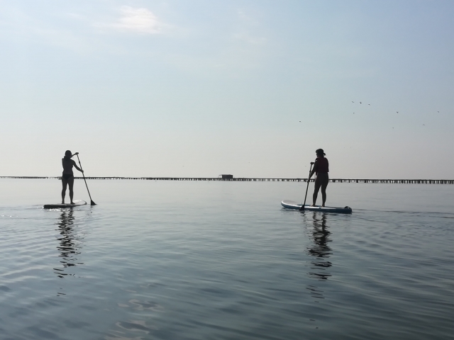  Paddle surf tour through San Carlos de la Rápita