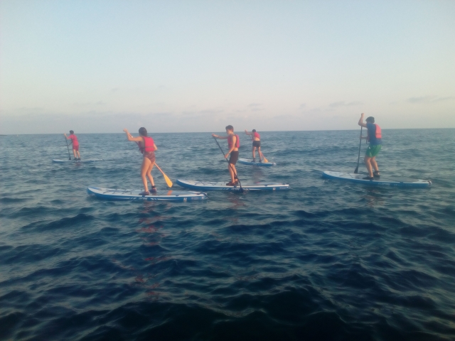  Gruppe Sup Bona 