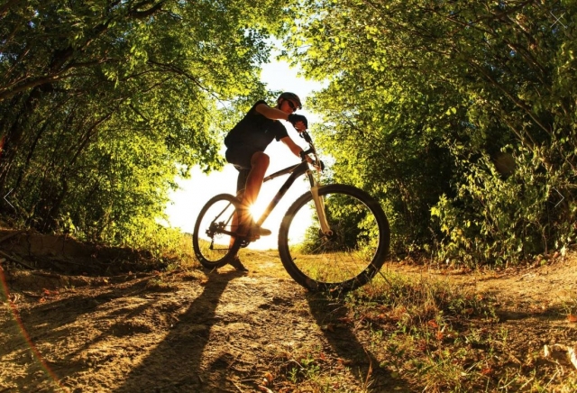  Bike tour in Urdaibai