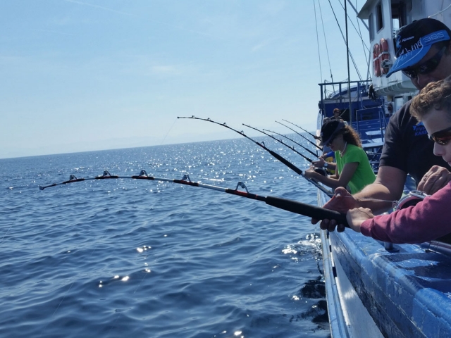  Verdel fishing 
