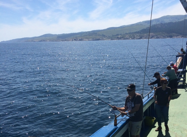  Fishing from the coast
