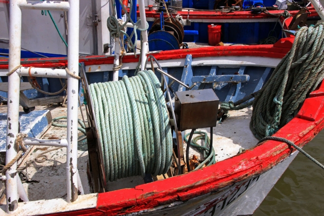  Pesca engrenagem 