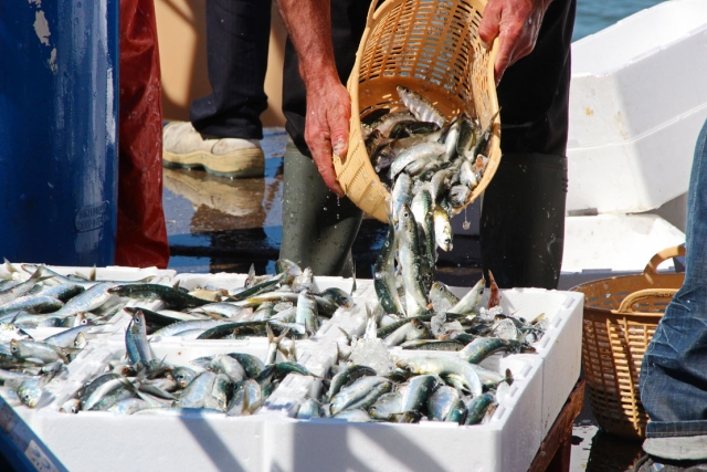  Pescaditos 