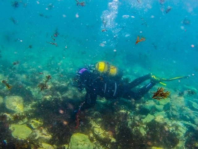  Padi im Pool und Meer 