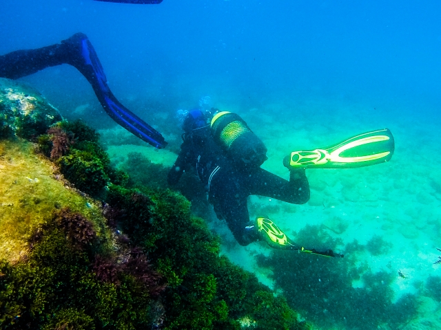  PADI in vier Tagen 