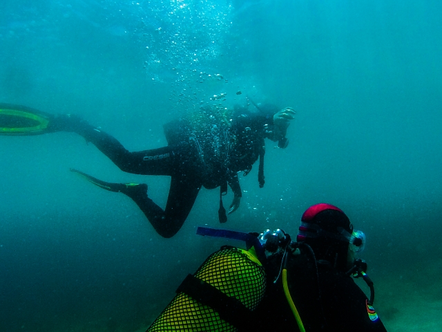  Gerätetauchen im Meer Padi