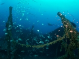 Imersão de lembrança Scuba Diver San José de Níjar